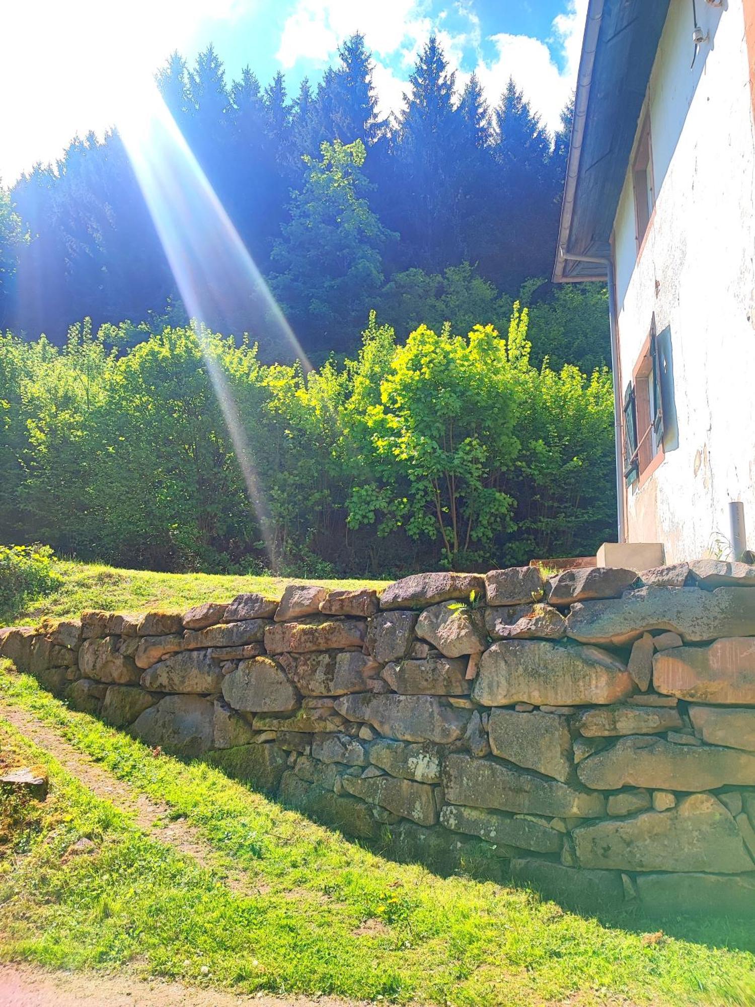 La Demeure Des Forges Διαμέρισμα Grandfontaine  Εξωτερικό φωτογραφία