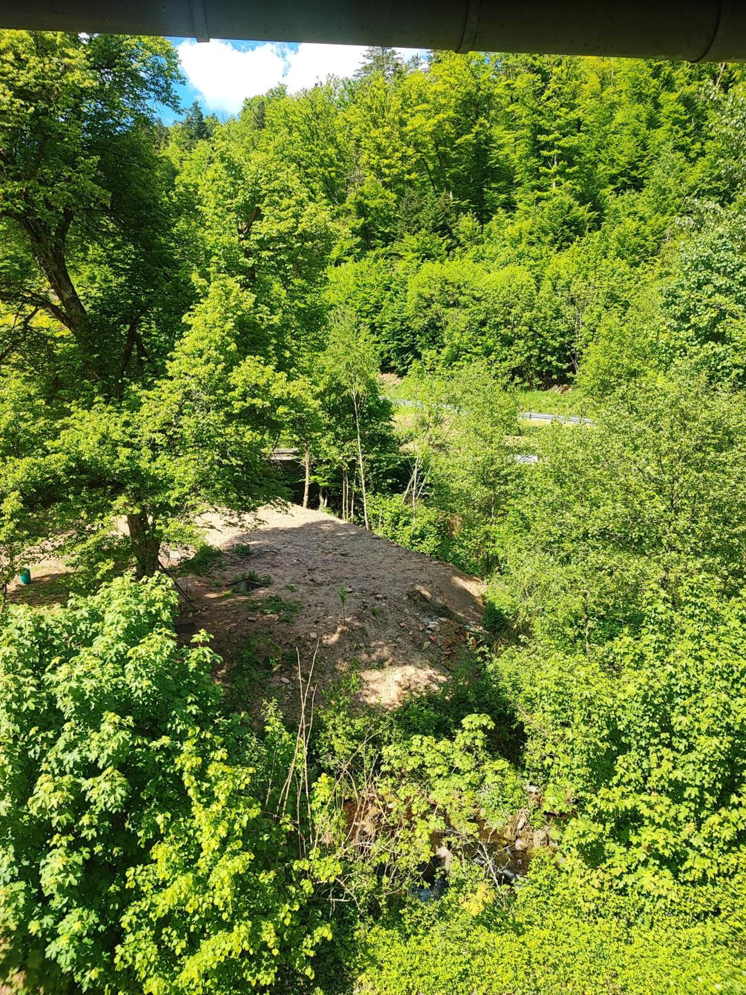 La Demeure Des Forges Διαμέρισμα Grandfontaine  Εξωτερικό φωτογραφία